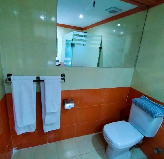 带城市景观的标准间, Davinci Beach Resort