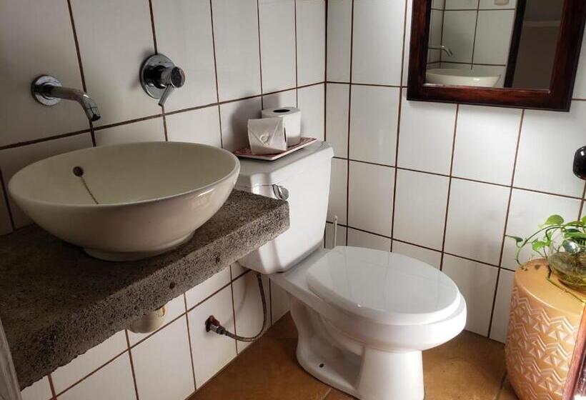 إستوديو قياسى, Serenity By Nature