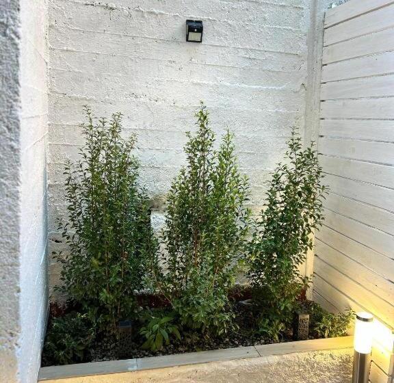 إستوديو قياسى, B&b Regina 381