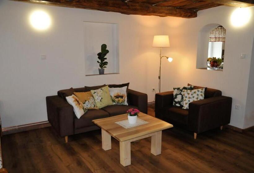 דירת חדר עם טרסה, Chalupa U žižky