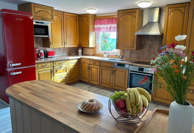 דירת חדר נוף לגינה, Chalupa U žižky