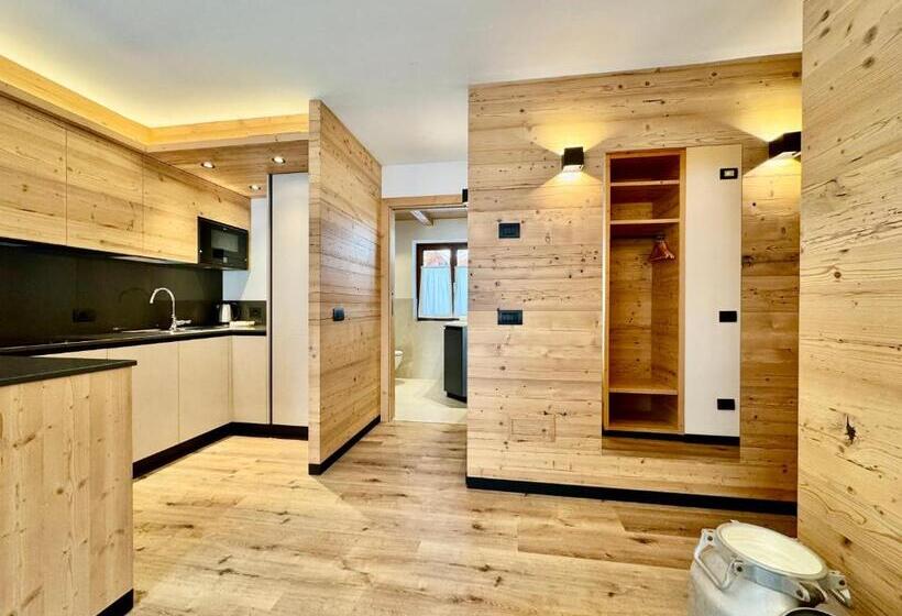 Apartament Deluxe 1 Sypialnia, Dolomiti Luxury Mountain View Ski In Ski Out