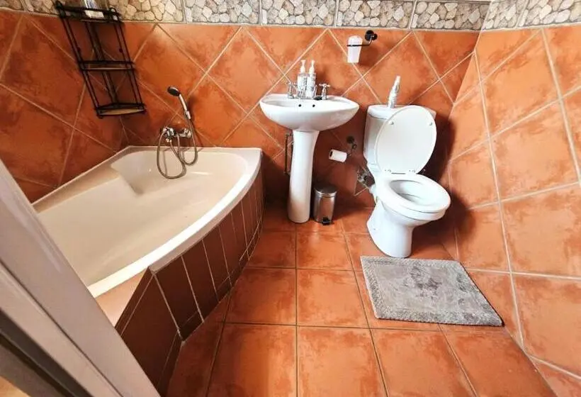 اتاق لوکس, De Oude Sleeper Inn 1