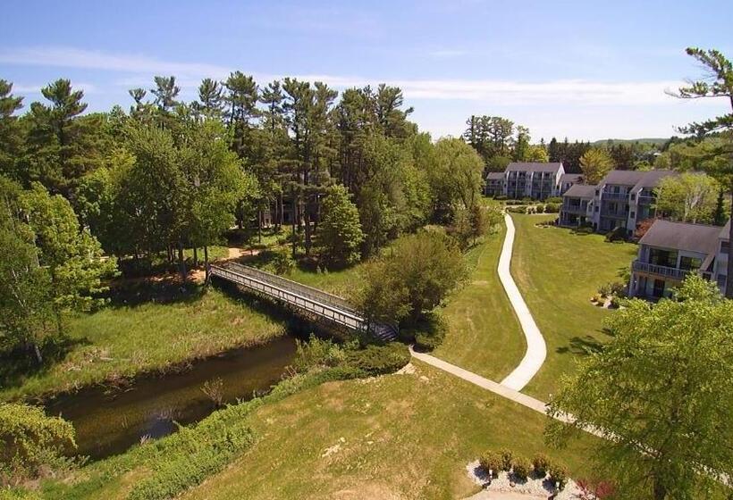 منزل غرفة نوم واحدة, The Shores