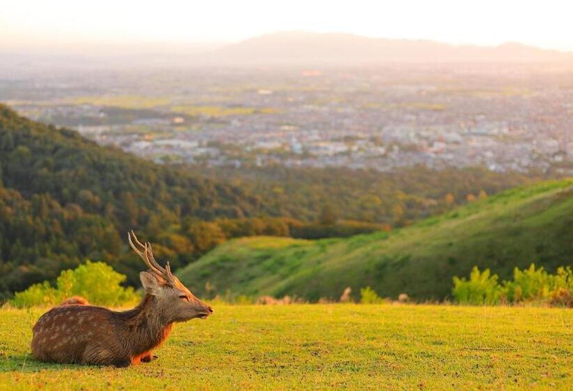 Номер Стандарт, Yamato Saidaiji Hotel Sindai