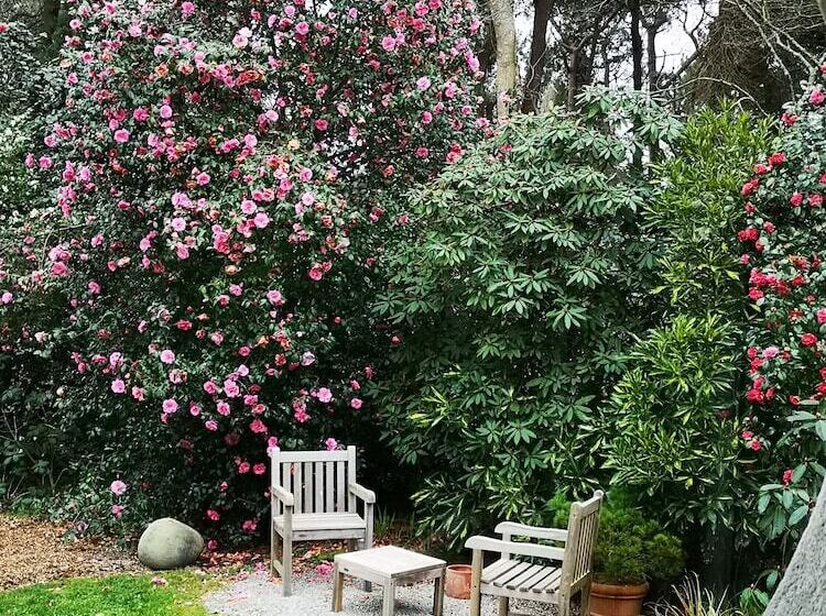 标准间, La Canopée Des Pins