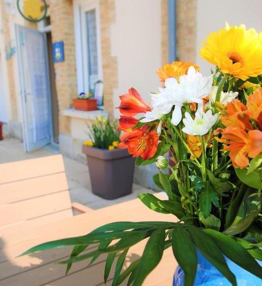 Номер Стандарт, La Janenquelle