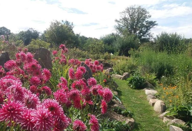 标准间, Les Folies De La Serve