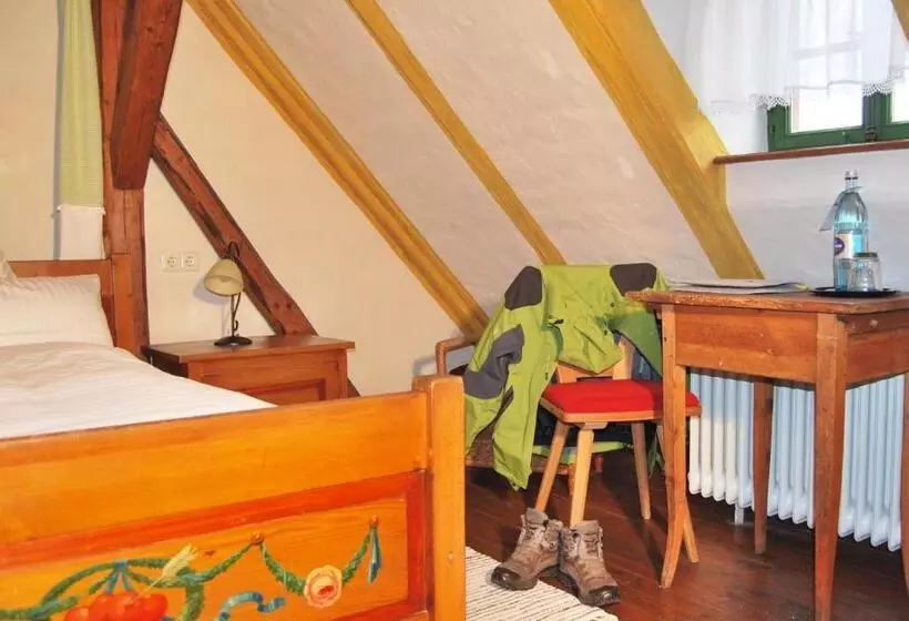 Standard Single Room, Der Schwan Hotel & Restaurant