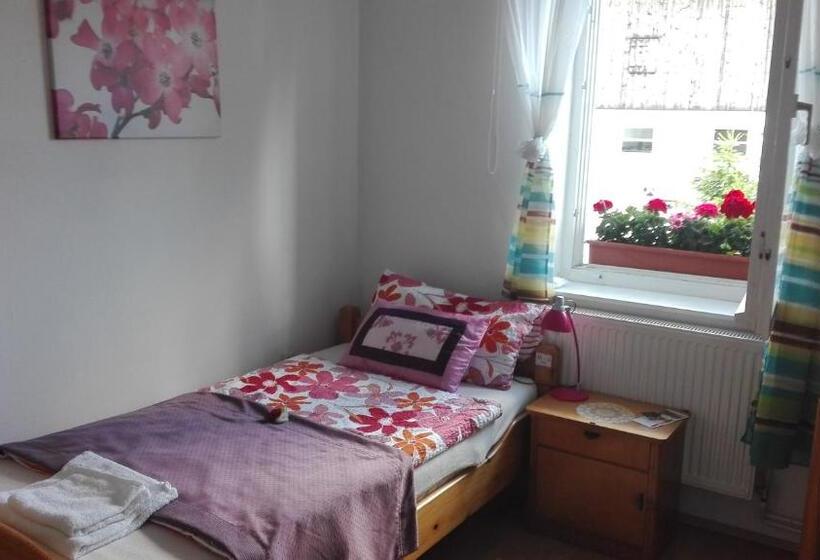 스탠다드 싱글 룸, Alte Schule Trogen