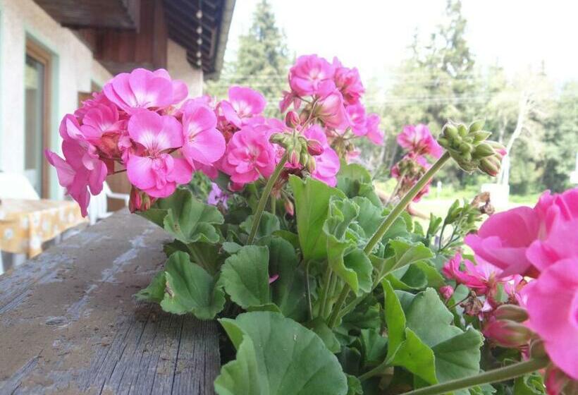 Апартаменты 1 Спальня, Beim Haxenwirt