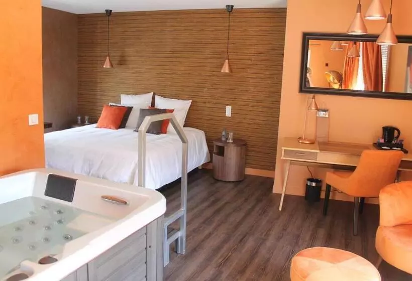 Standard Værelse m. Hydromassage, L Hostellerie D Acquigny