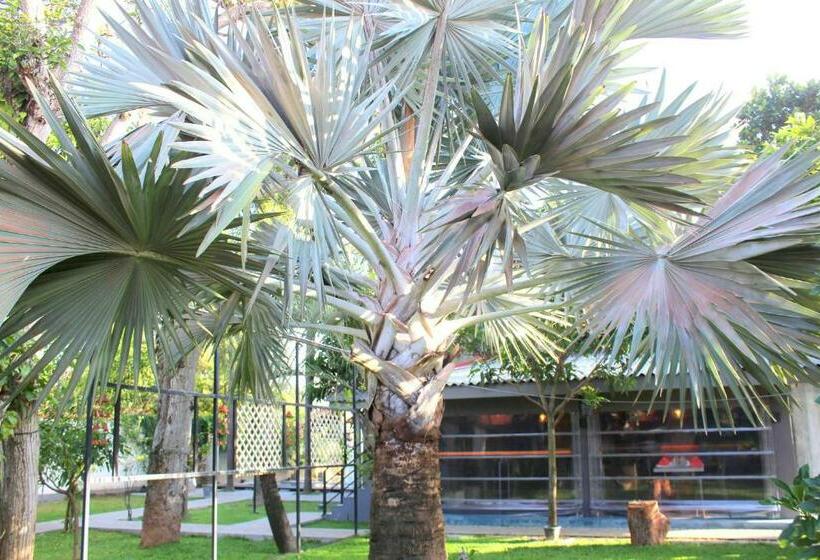 ガーデンビュースタンダードルーム, Morning Star Resorts