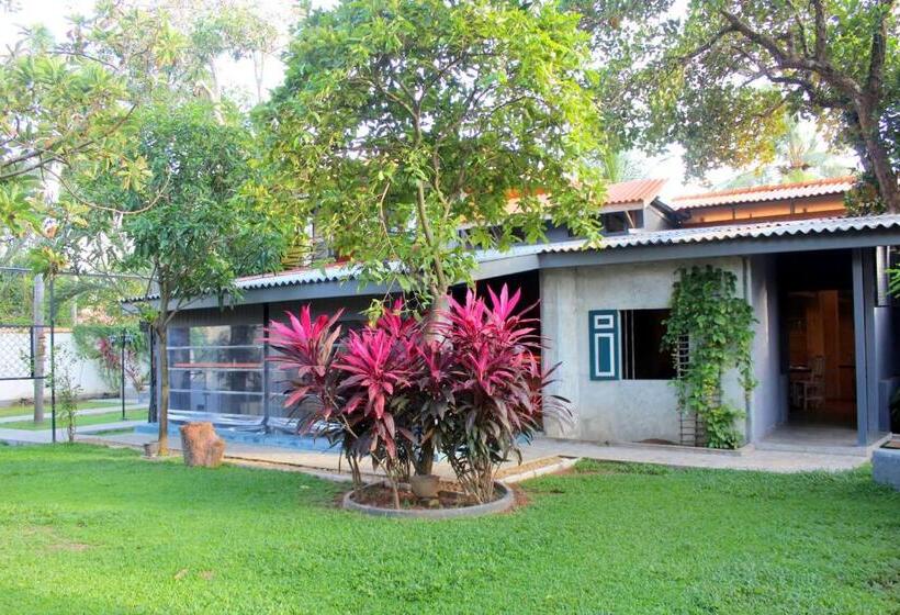 デラックスファミリールーム, Morning Star Resorts