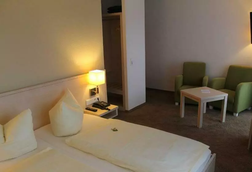 اتاق اکونومی, Waldhotel Dornröschenshöh