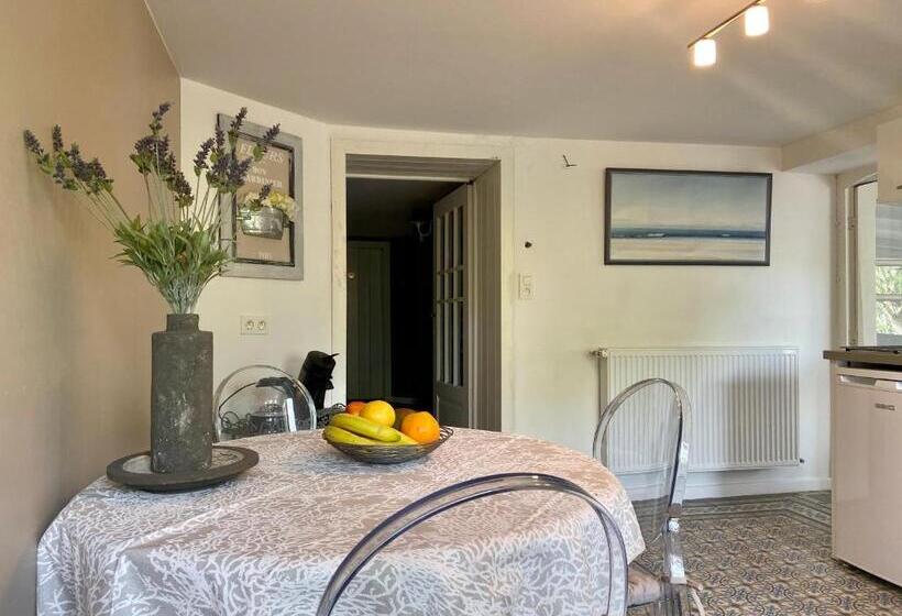 １ベッドルームアパートメント, Villa Louise