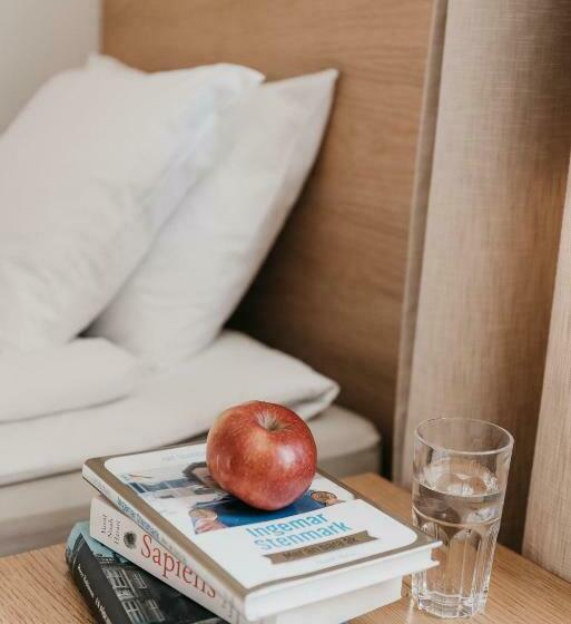 高级大房间, Tärnaby Fjällhotell