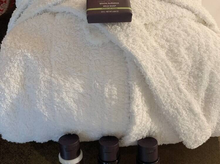 豪华房间, Vatel Bordeaux