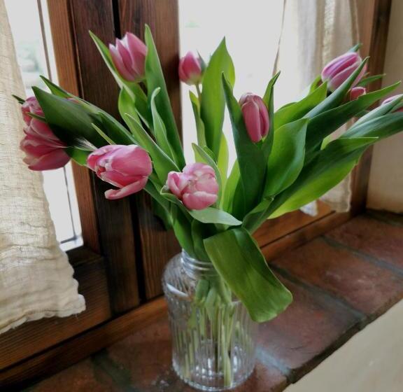 דירת שני חדרים, Oasi Galbusera Bianca