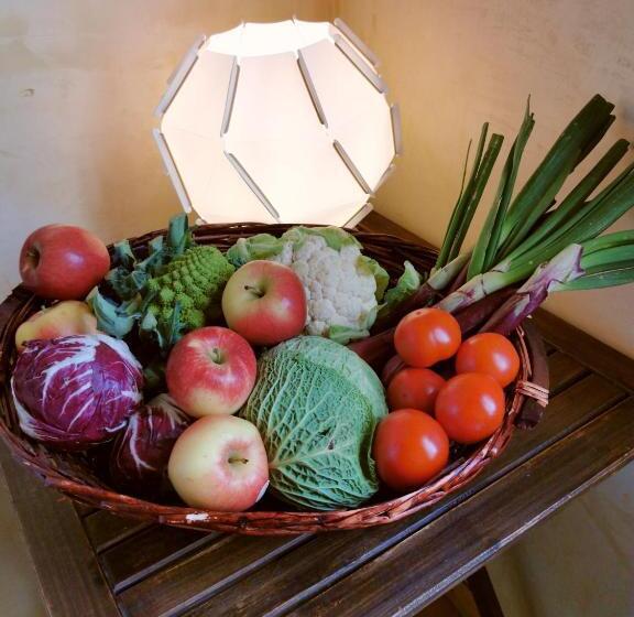 דירת שני חדרים, Oasi Galbusera Bianca