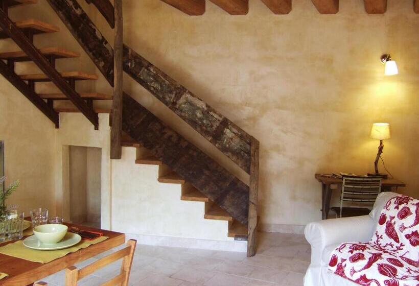 דירת שני חדרים, Oasi Galbusera Bianca