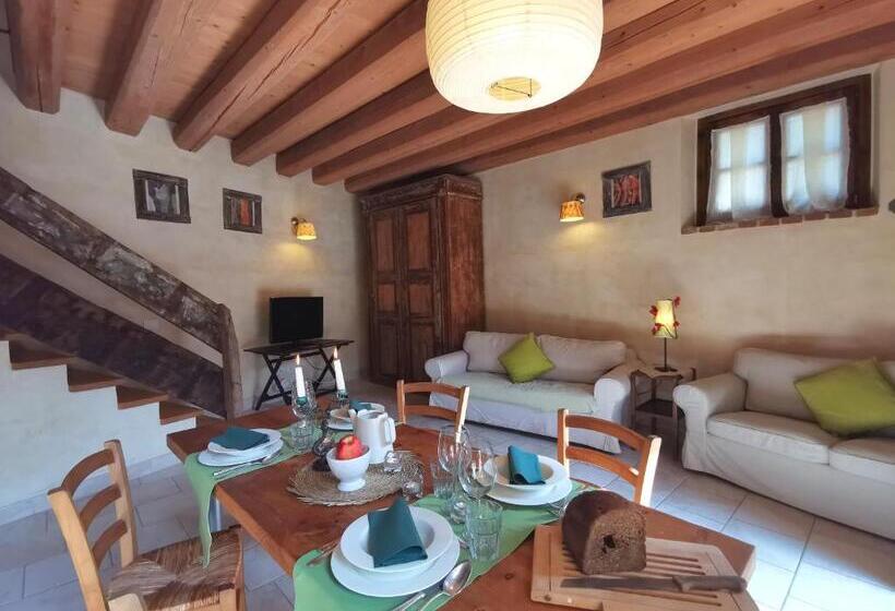 דירת שני חדרים, Oasi Galbusera Bianca