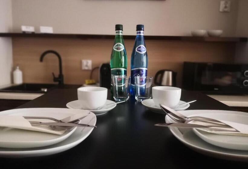 带1个卧室的豪华公寓, Fortune Old Town Boutique