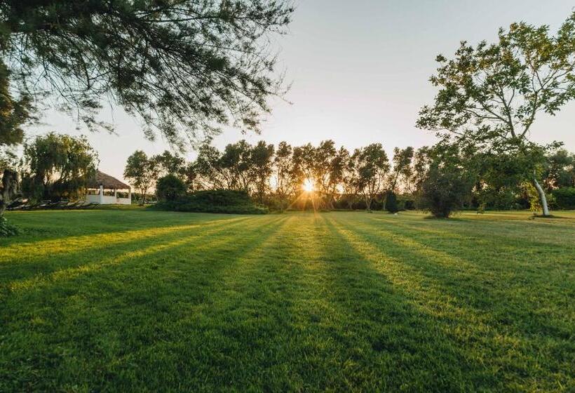 디럭스 룸, Casa Solares