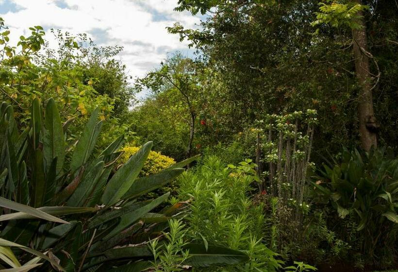 Pokój Standard, York House Guest House