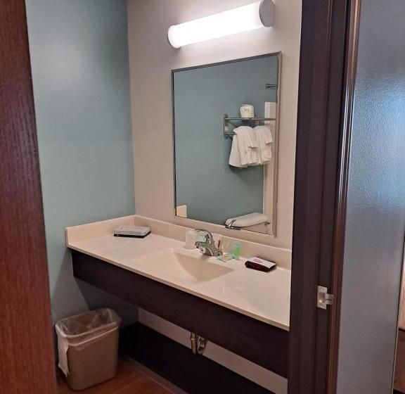 带2个双人床的标准工作室, Woodspring Suites Fargo North Near Ndsu