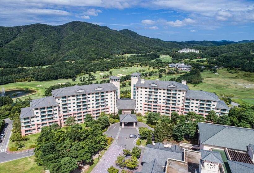 Номер Стандарт, Oak Valley Resort