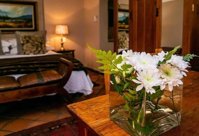 デラックススイート, Terra Casa Guesthouse