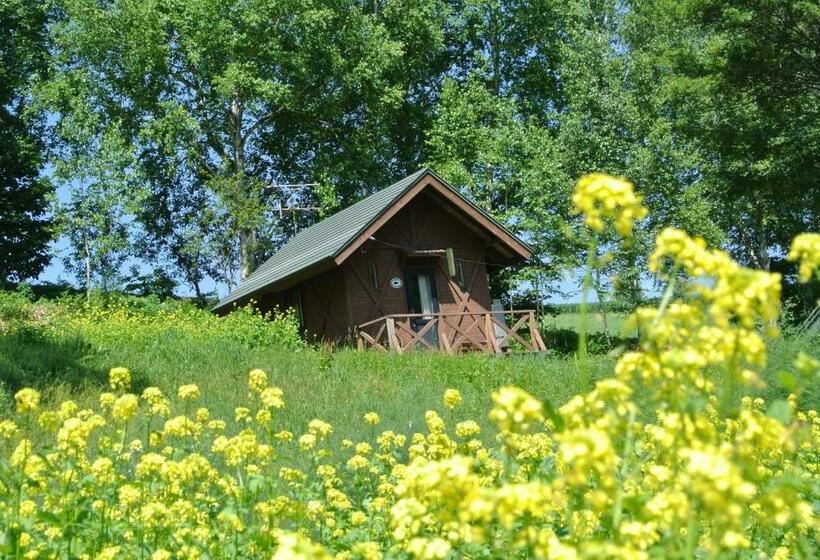 Номер Стандарт, Pension Megumiyuki