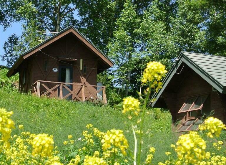 Номер Стандарт, Pension Megumiyuki