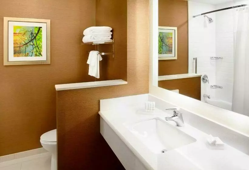 スタンダードルーム, Fairfield By Marriott Inn & Suites Wheeling At The Highlands