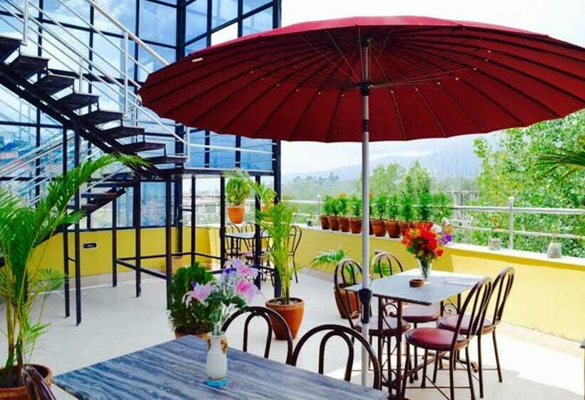 اتاق لوکس خانوادگی, Regal Airport