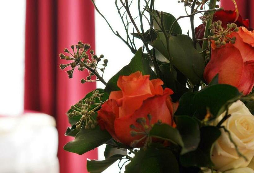 标准单人间, Garni Hotel Alber