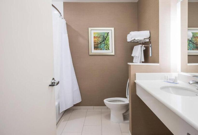 Номер Стандарт, Fairfield Inn & Suites By Marriott Florence I 20