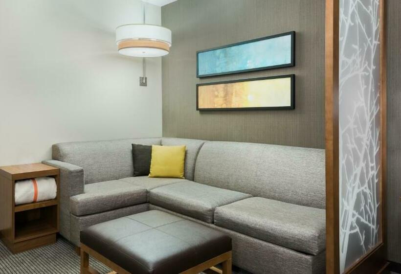 キングサイズベッドのスタンダードルーム, Hyatt Place Austin/round Rock