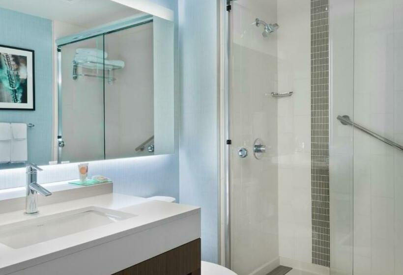 キングサイズベッドのスタンダードルーム, Hyatt Place Austin/round Rock