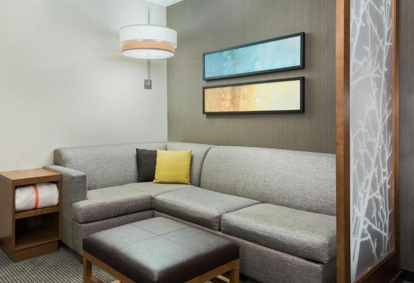Номер Стандарт Верхний Этаж, Hyatt Place Austin/round Rock