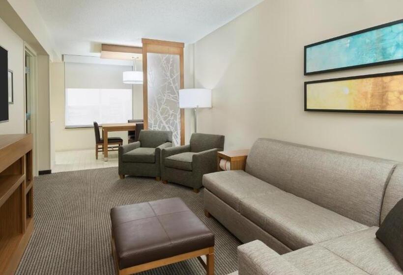 キングサイズベッドのスイートルーム, Hyatt Place Austin/round Rock