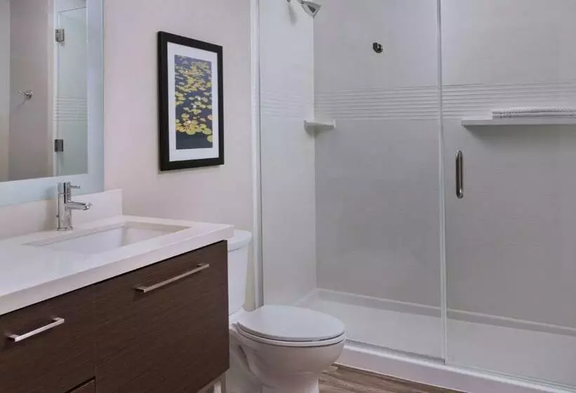 スタンダードスタジオ, Towneplace Suites By Marriott Lakeland