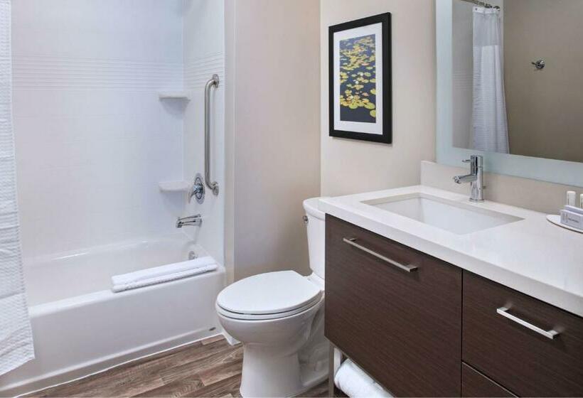 スタンダードスタジオ, Towneplace Suites By Marriott Lakeland