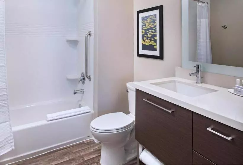 キングサイドベッドのスタンダードワンルーム, Towneplace Suites By Marriott Lakeland