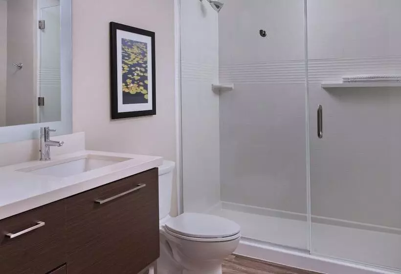 身障者適用スイートルーム, Towneplace Suites By Marriott Lakeland