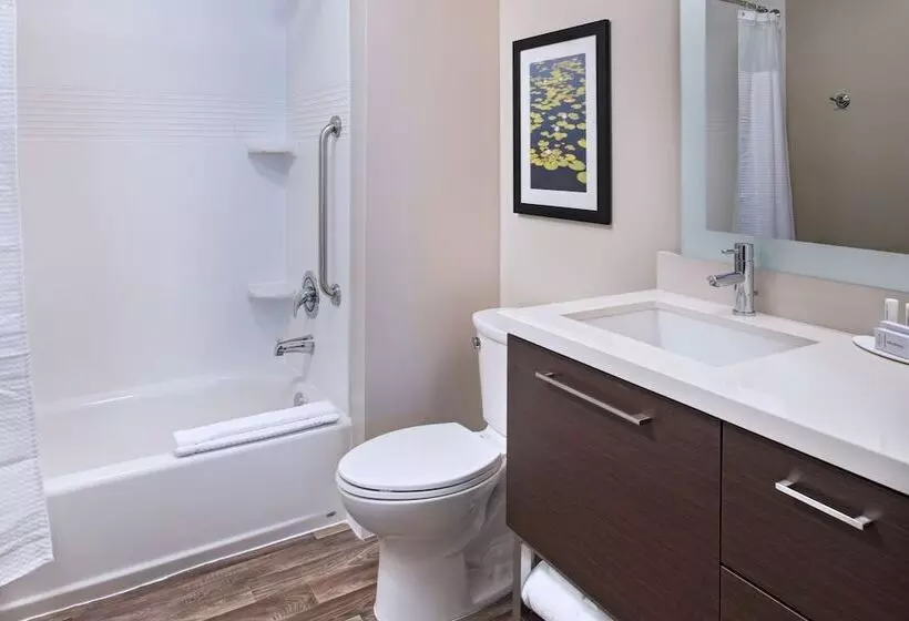 身障者適用スイートルーム, Towneplace Suites By Marriott Lakeland