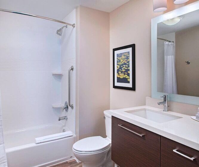 身障者適用スイートルーム, Towneplace Suites By Marriott Lakeland