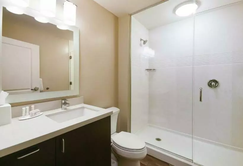 キングサイドベッドのスタンダードワンルーム, Towneplace Suites By Marriott Slidell