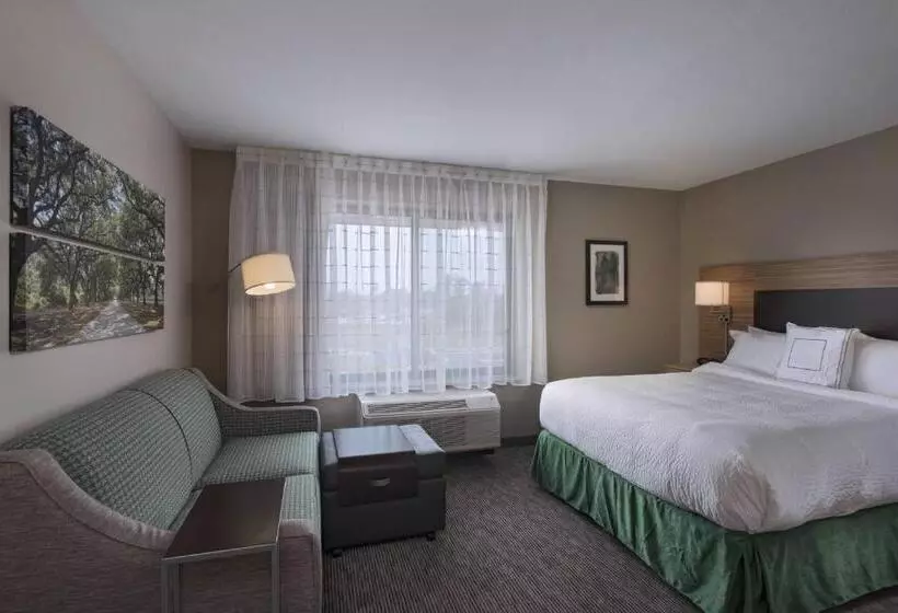 スタンダードスタジオ, Towneplace Suites By Marriott Slidell